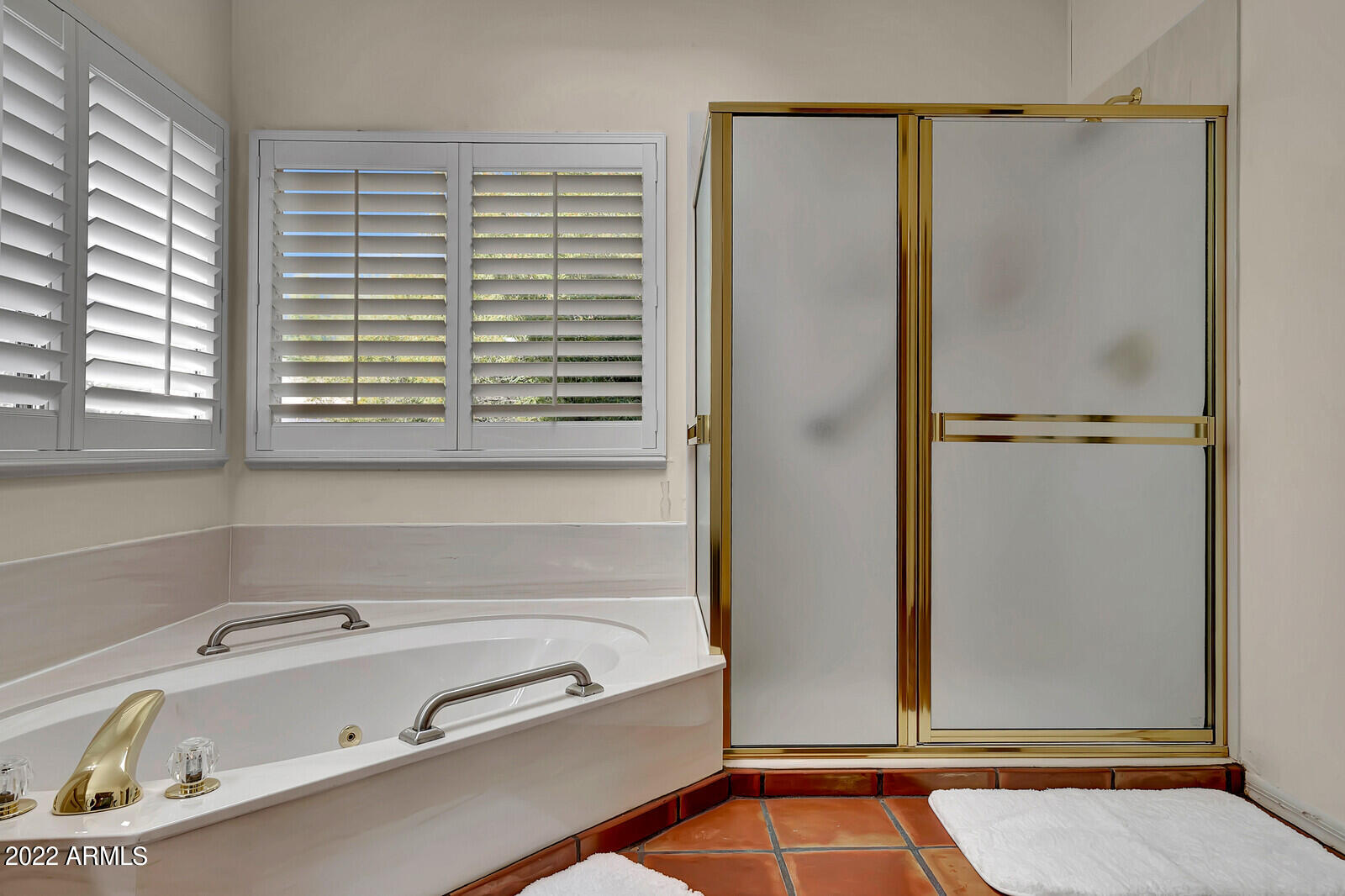 25634 North Quail Haven Drive Rio Verde, AZ 85263 - Photo 30 of 74 Walk In Shower & Jet Tub