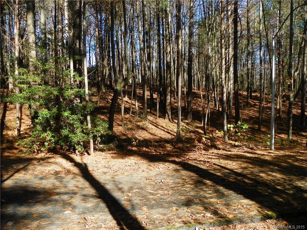 0 Ducketts Grove Road, Unit 3 Fletcher, NC 28732 - Photo 8 of 10 Gallery Image 8