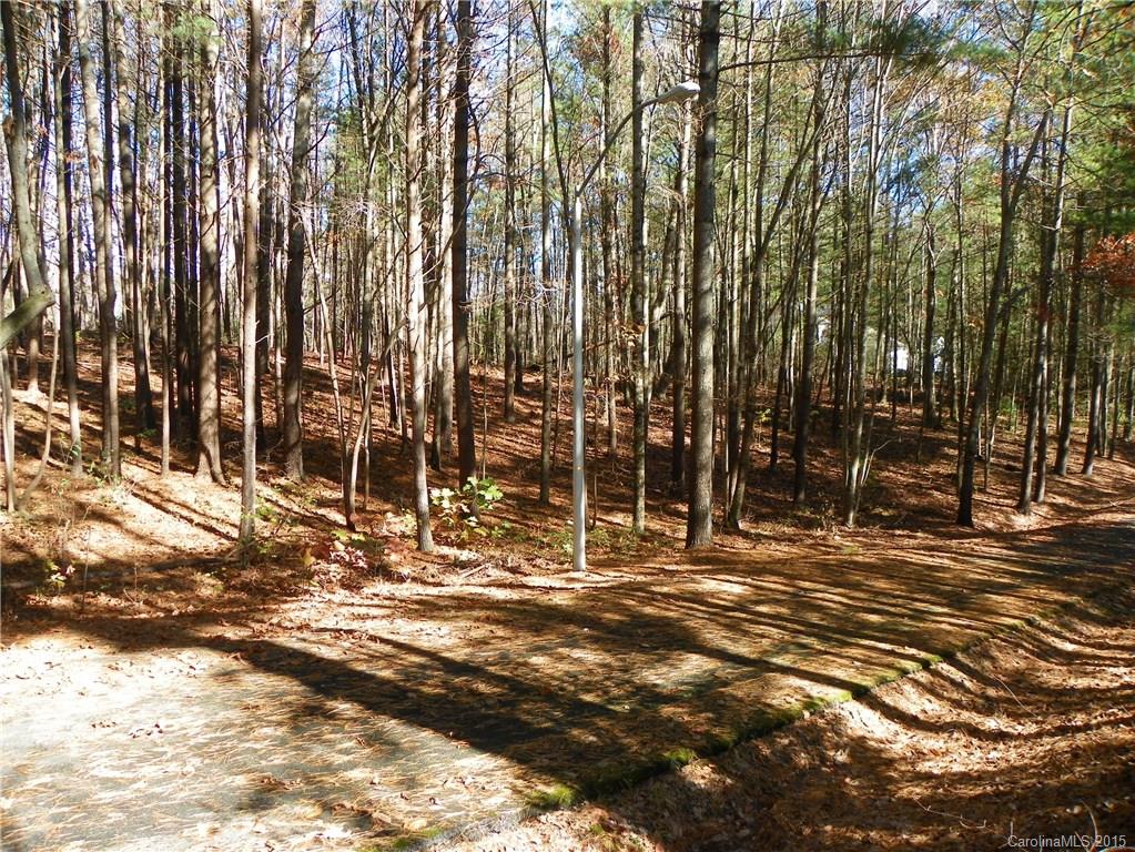 0 Ducketts Grove Road, Unit 3 Fletcher, NC 28732 - Photo 9 of 10 Gallery Image 9