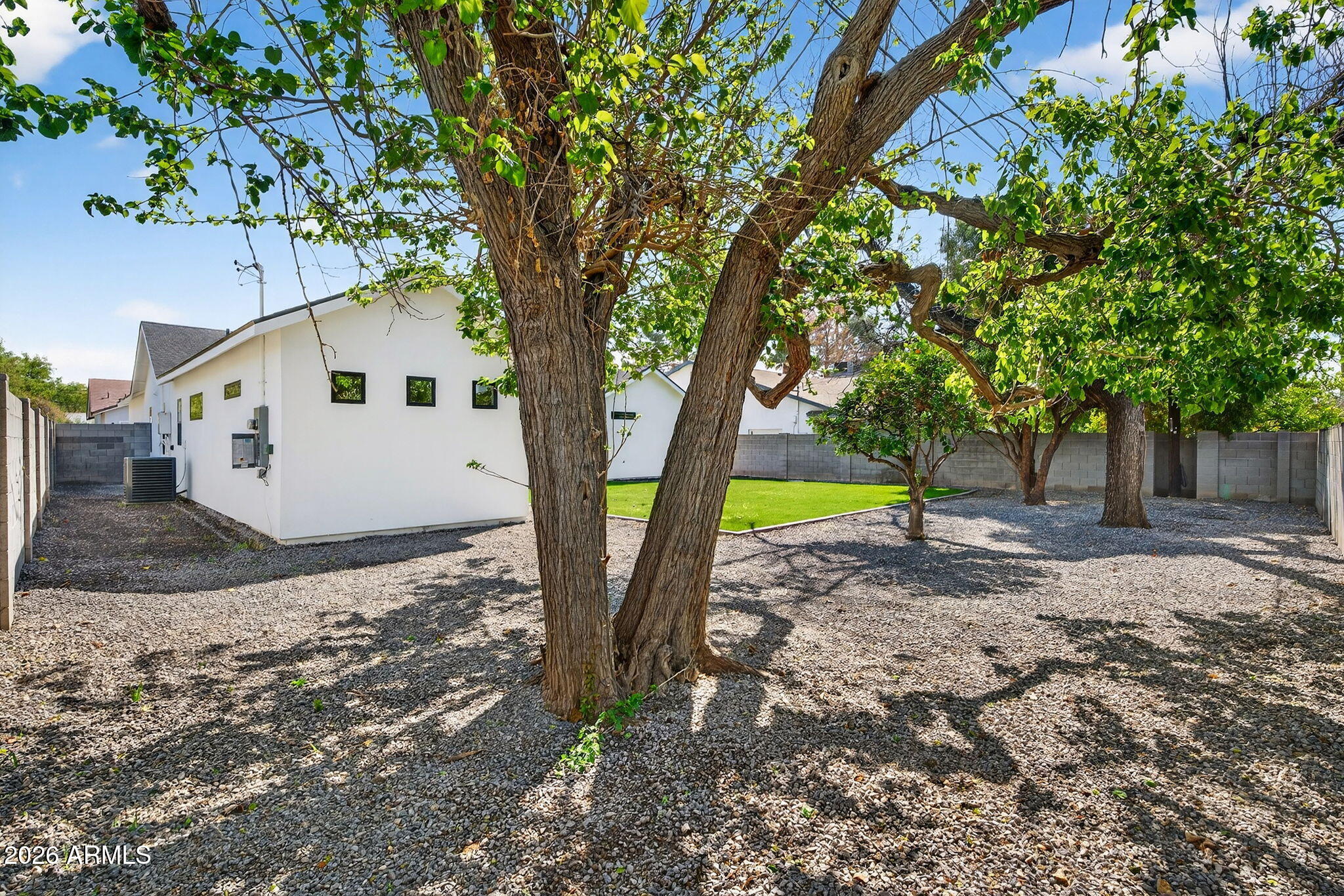 6818 North 13th Street Phoenix, AZ 85014 - Photo 56 of 65 a view of a house with a yard and large tree