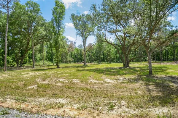 $114,900 | 50320-lot 2) Allen Drive, Loranger, LA 70446