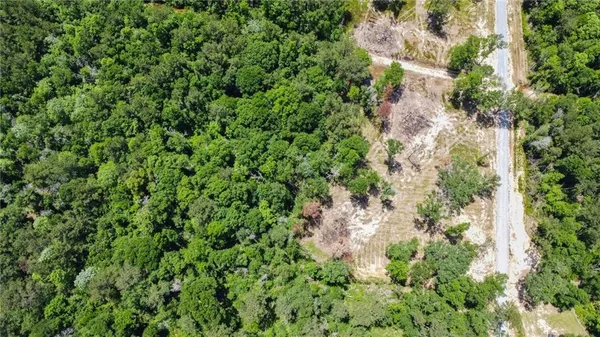 $114,900 | 50320-lot 2) Allen Drive, Loranger, LA 70446