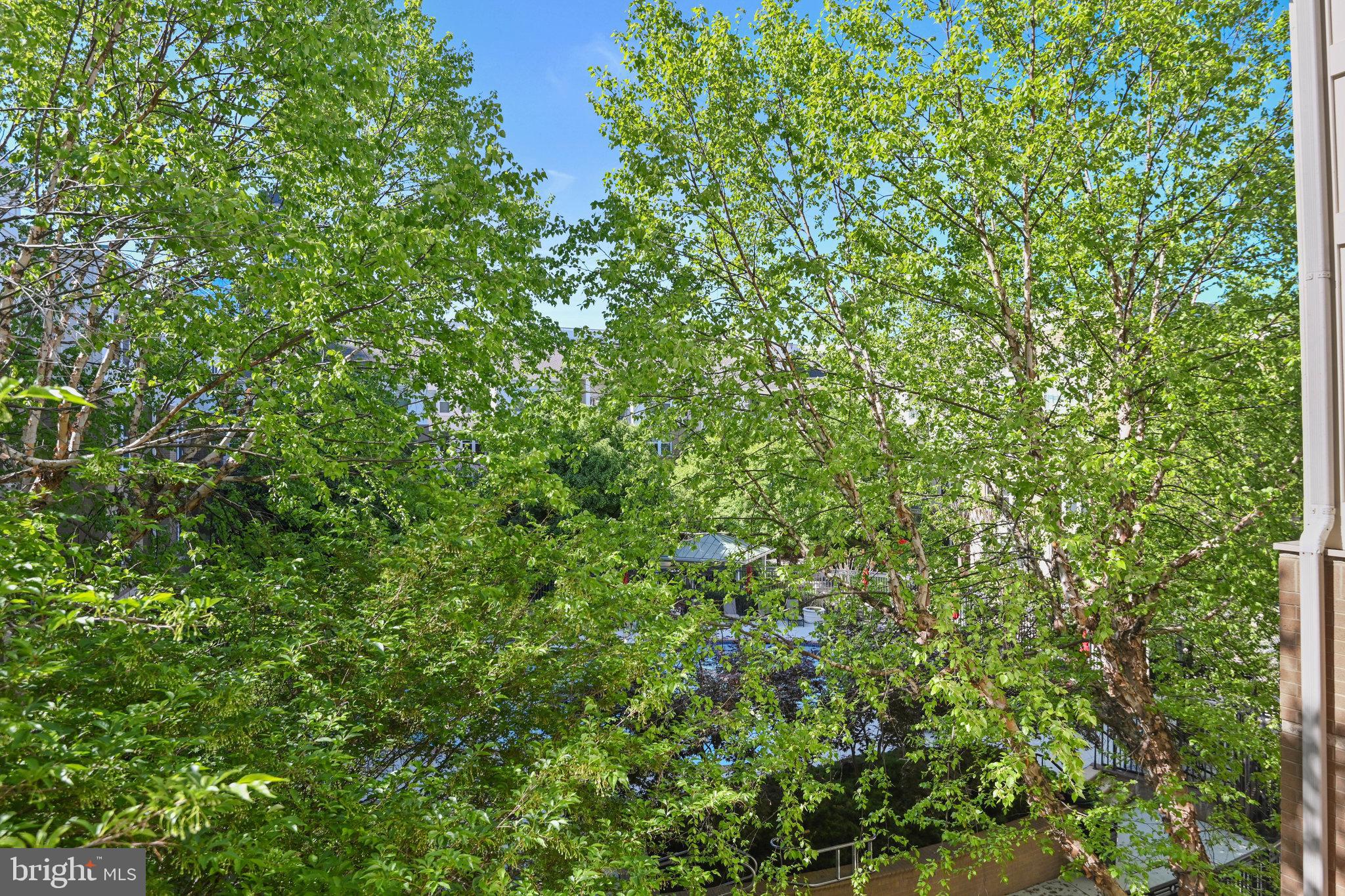 12000 Market Street, Unit 343 Reston, VA 20190 - Photo 31 of 46 Lush trees and a peak of the pool from balcony