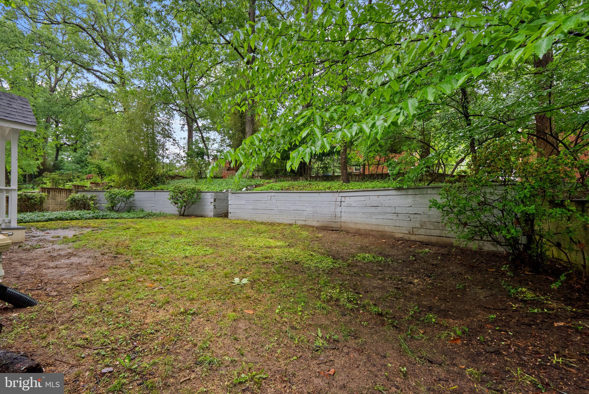 8713 Reading Road Silver Spring, MD 20901 - Photo 42 of 49 a view of yard with green space