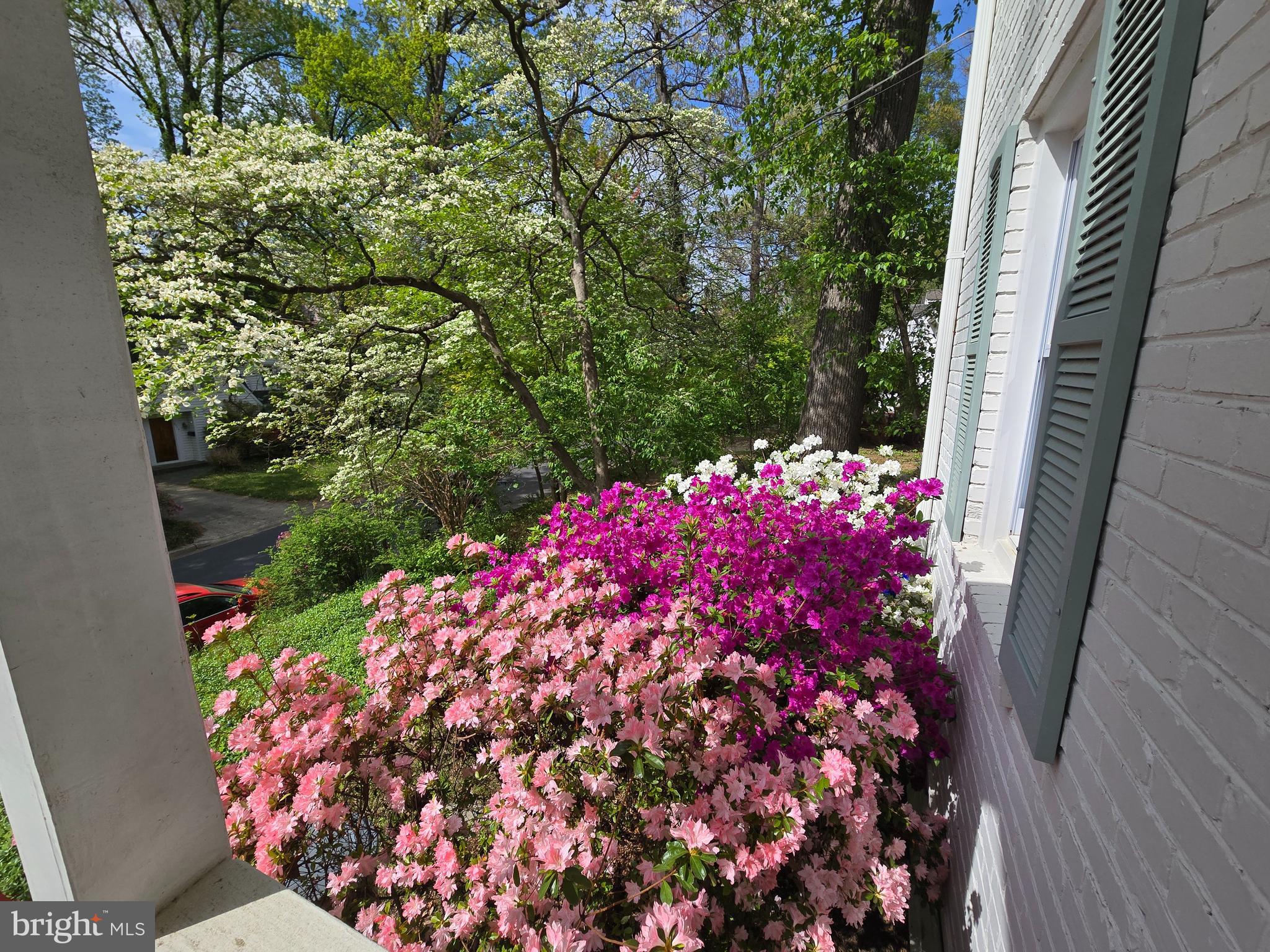 8713 Reading Road Silver Spring, MD 20901 - Photo 44 of 49 a picture of flowers