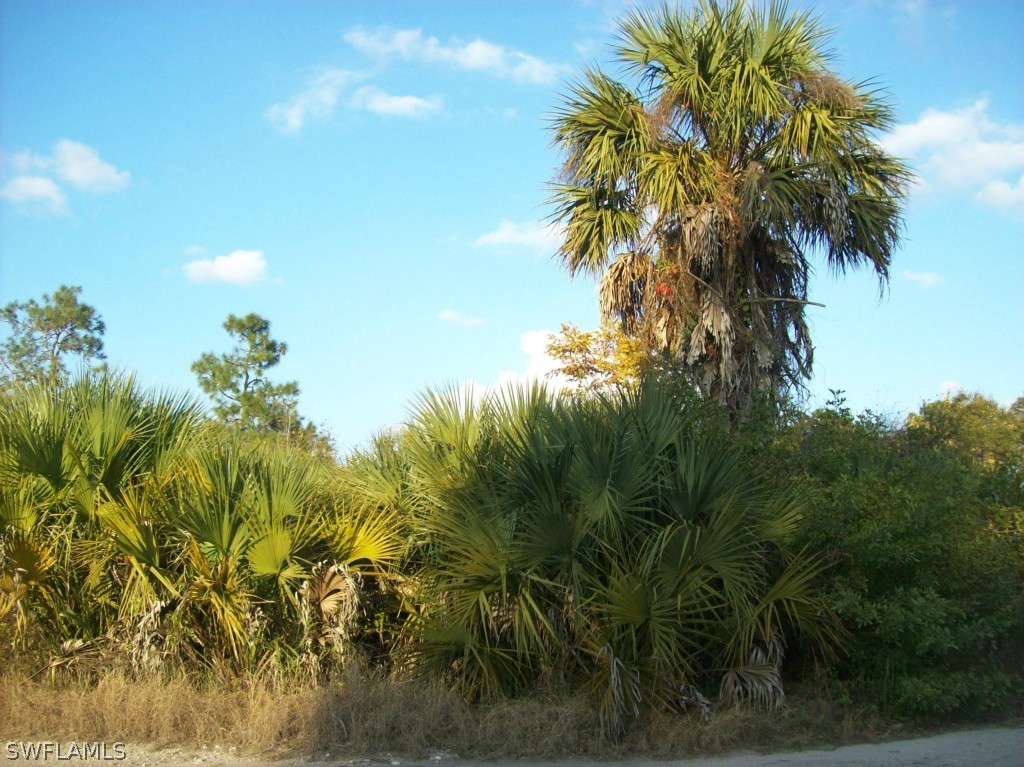 21721 Claytor Road Alva, FL 33920 - Photo 5 of 5 a view of a garden