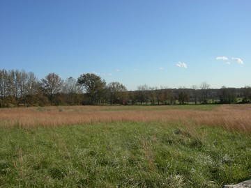 1325 Triple S Road Harrisburg, IL 62946 - Photo 3 of 3 Gallery Image 3