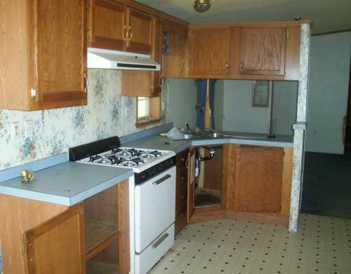 1180 Blacks Hollow Road Apollo, PA 15613 - Photo 4 of 8 Kitchen.