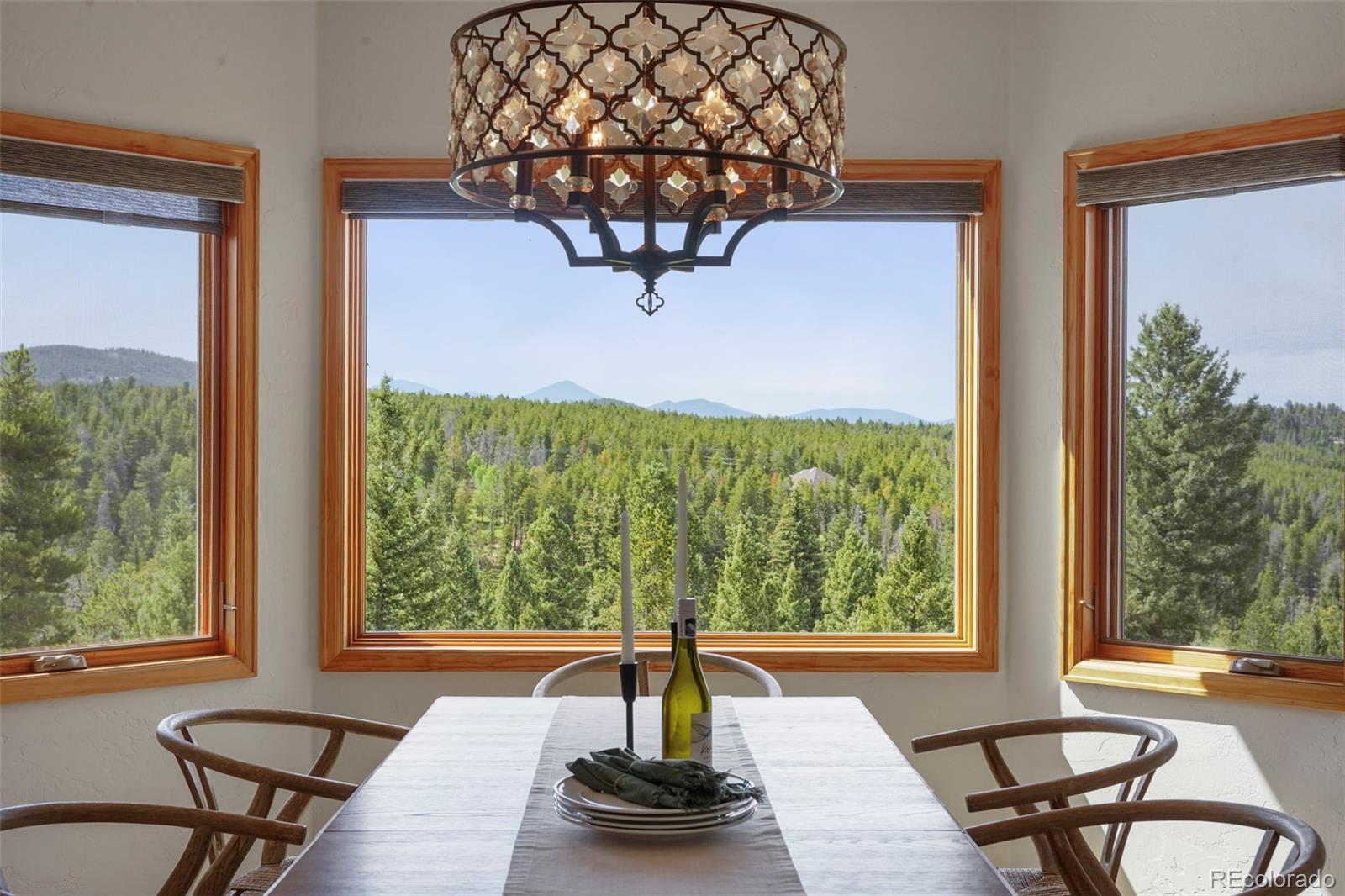 29549 Thunderbolt Circle Conifer, CO 80433 - Photo 13 of 50 a living room with furniture and a window