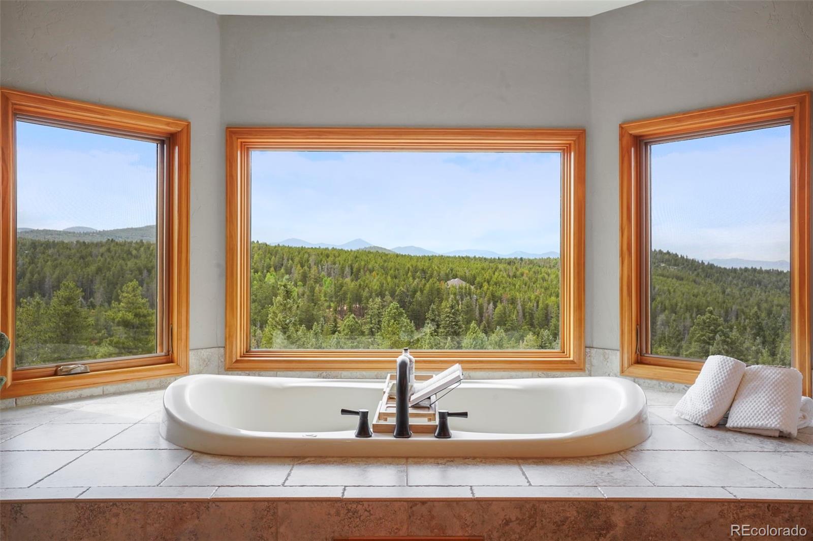 29549 Thunderbolt Circle Conifer, CO 80433 - Photo 19 of 50 a view of living room with a large window and floor to ceiling window