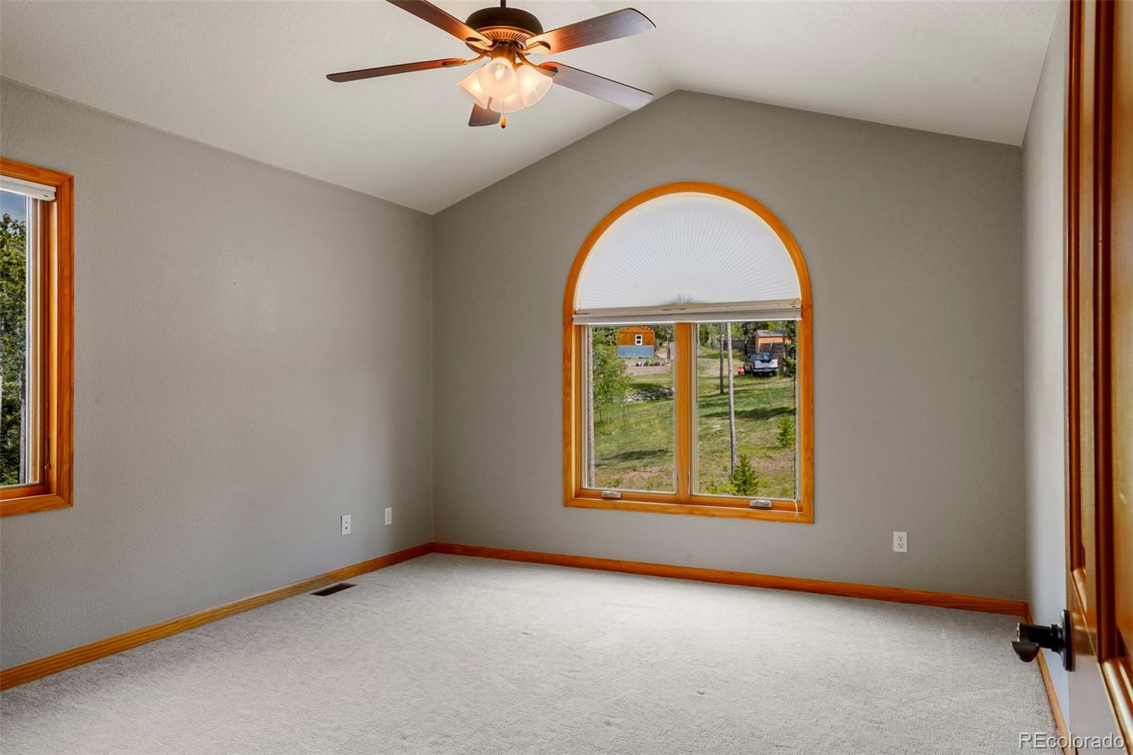 29549 Thunderbolt Circle Conifer, CO 80433 - Photo 20 of 50 an empty room with windows and chandelier fan