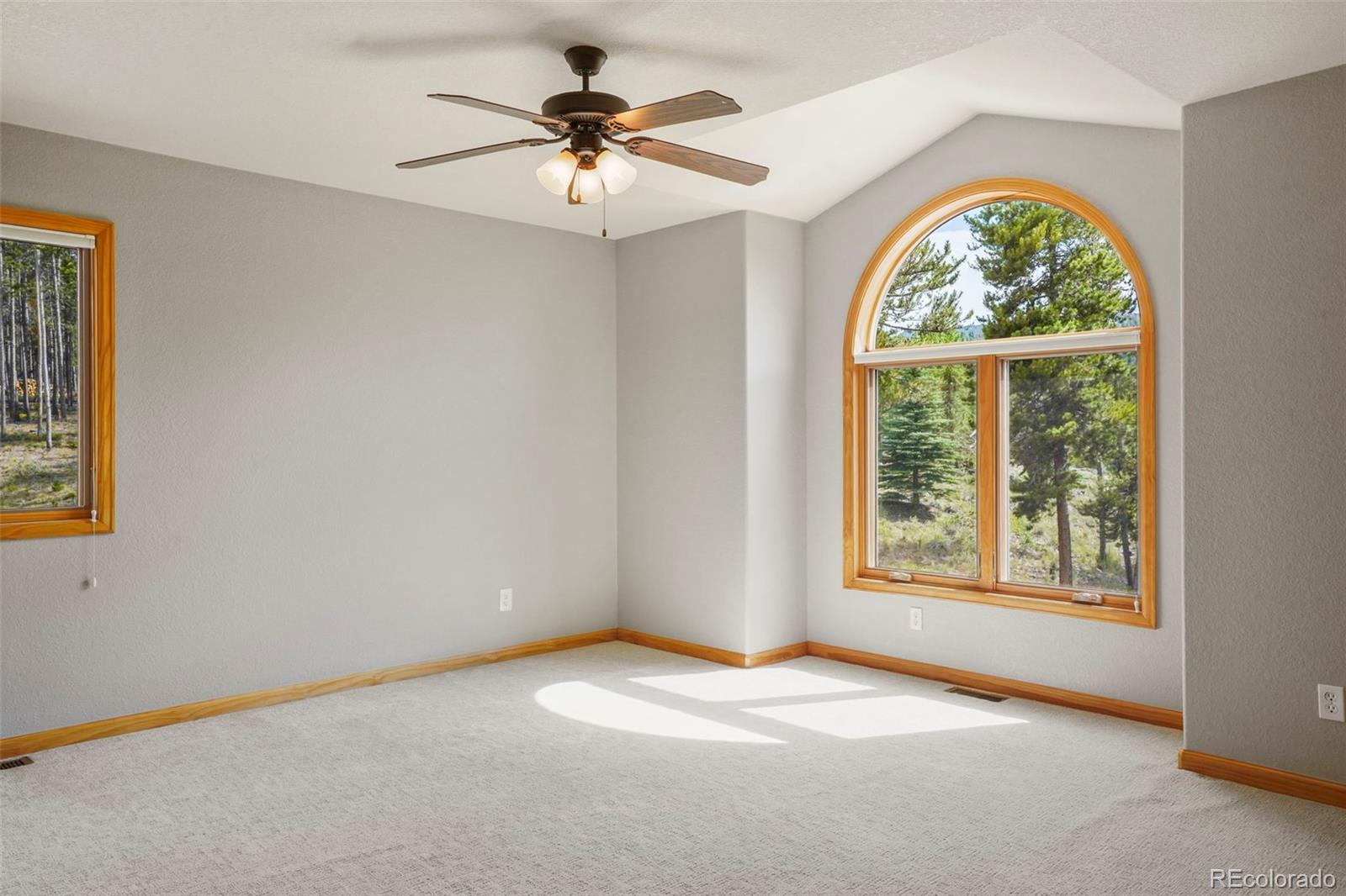 29549 Thunderbolt Circle Conifer, CO 80433 - Photo 22 of 50 an empty room with a window