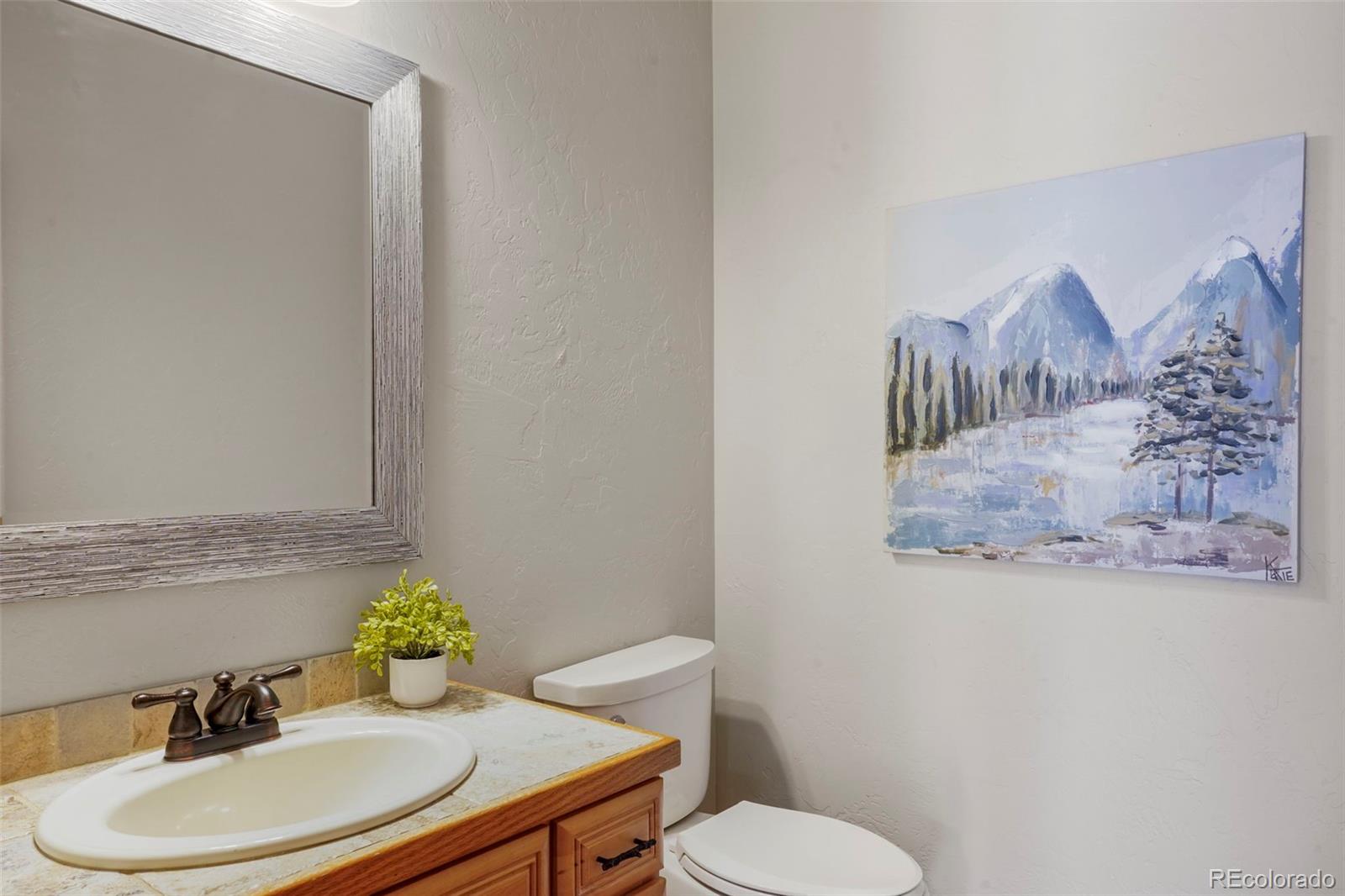 29549 Thunderbolt Circle Conifer, CO 80433 - Photo 30 of 50 a bathroom with a toilet a sink and mirror