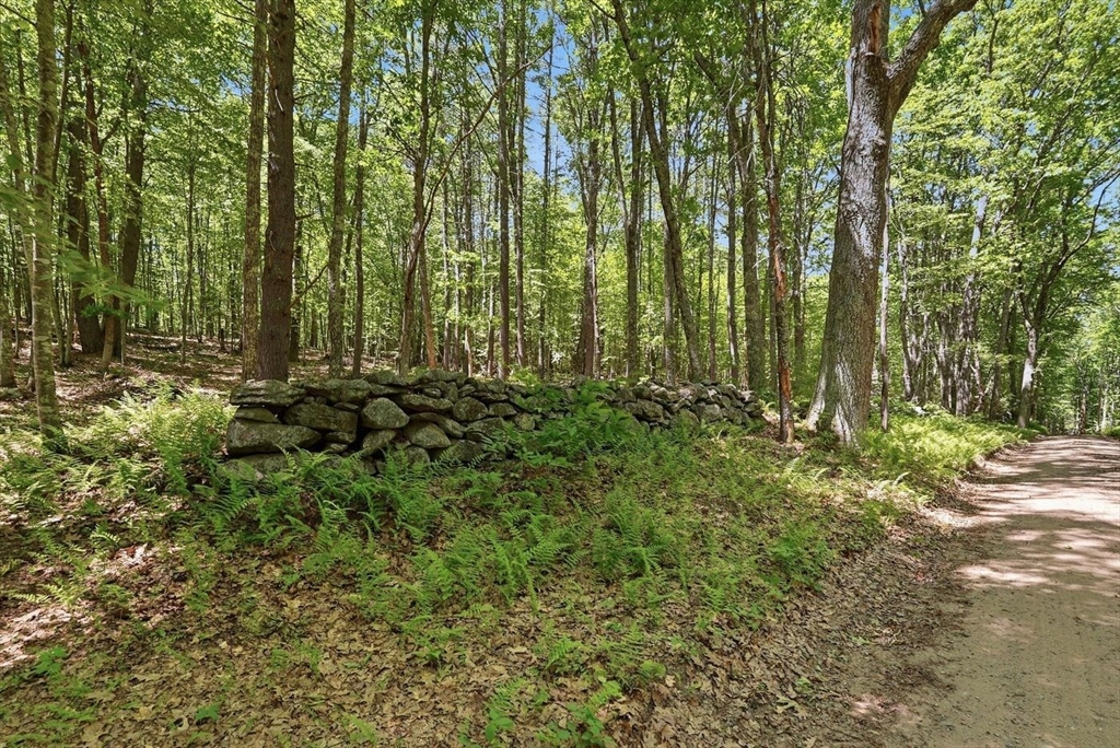 0 Carter Pond Road Petersham, MA 01366 - Photo 4 of 18