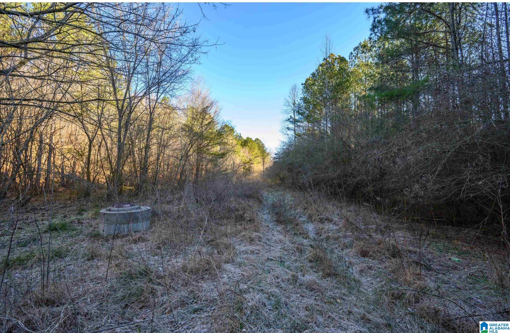 0 County Road Hanceville, AL 35077 - Photo 5 of 5