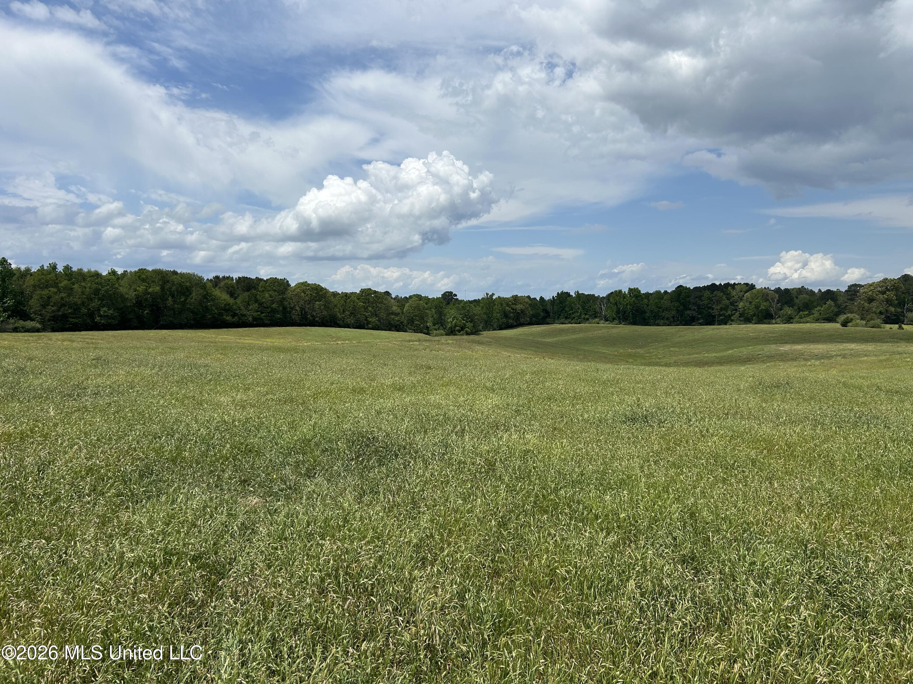0 Northwest California Road Brookhaven, MS 39601 - Photo 2 of 9 IMG_5866
