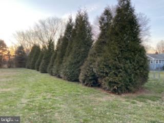 2212 Dutch Mill Road Newfield, NJ 08344 - Photo 31 of 36 Back yard