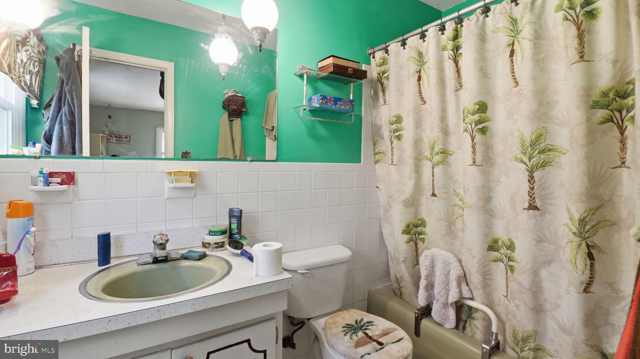 13408 Kris Ran Court Fort Washington, MD 20744 - Photo 18 of 49 Vibrant hall bathroom with tropical flair.