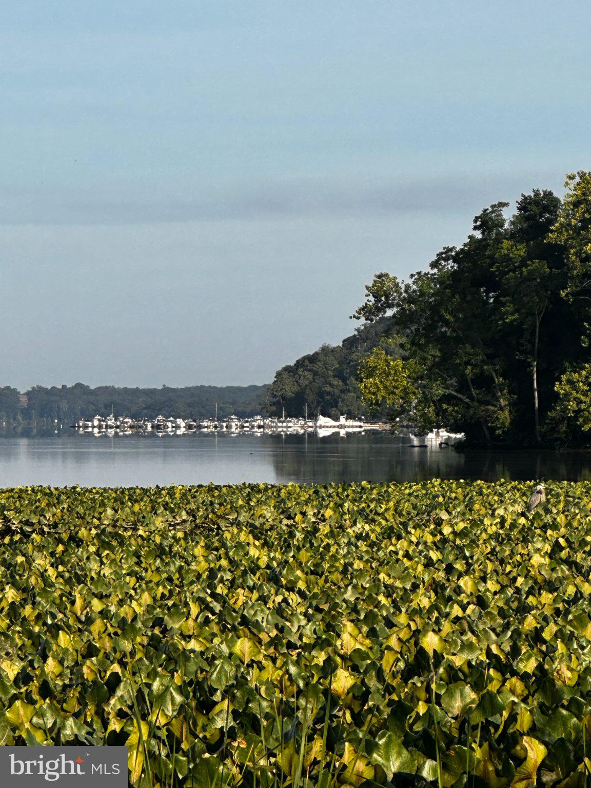 13408 Kris Ran Court Fort Washington, MD 20744 - Photo 43 of 49 View from Lot 39 of Fort Washington Marina