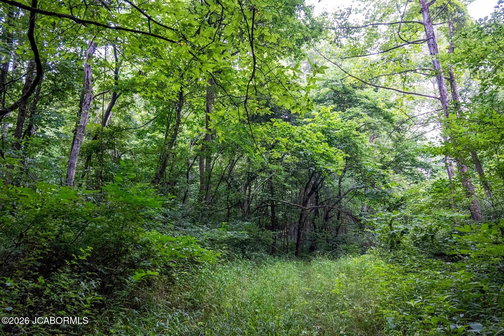 Tbd Talley Road Hartsburg, MO 65039 - Photo 97 of 106