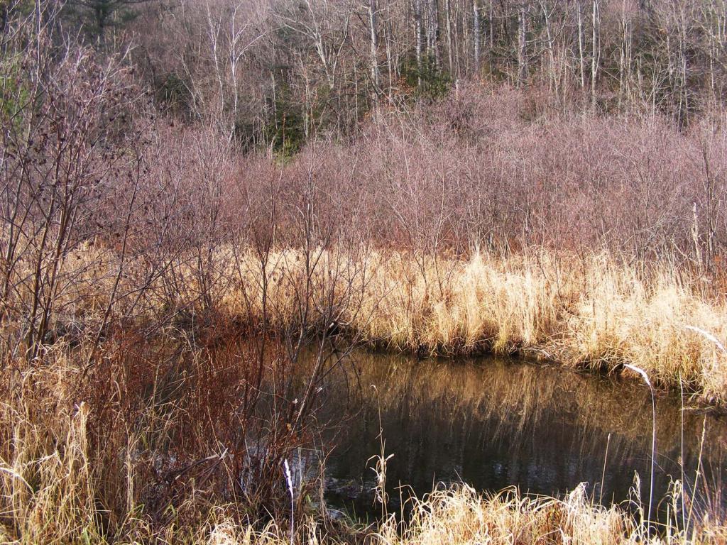 Lot 26 Burrington Hill Road Whitingham, VT 05361 - Photo 1 of 4