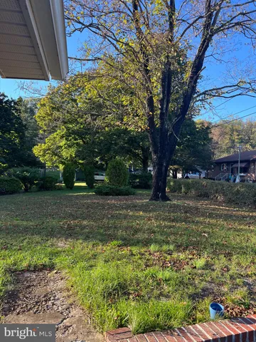 a view of a yard with a tree