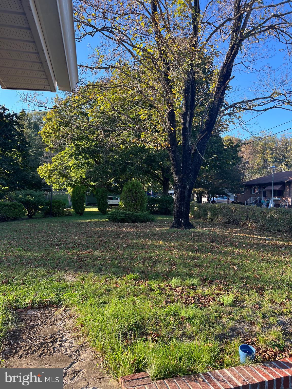 11915 Bedford Road Northeast Cumberland, MD 21502 - Photo 34 of 34 a view of a yard with a tree