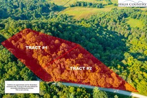 Omega Way Sparta, NC 28675 - Photo 1 of 48