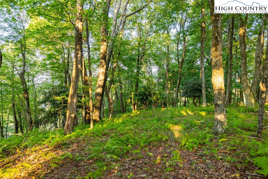 Omega Way Sparta, NC 28675 - Photo 12 of 48