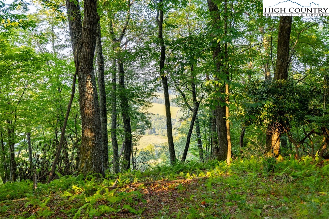 Omega Way Sparta, NC 28675 - Photo 13 of 48