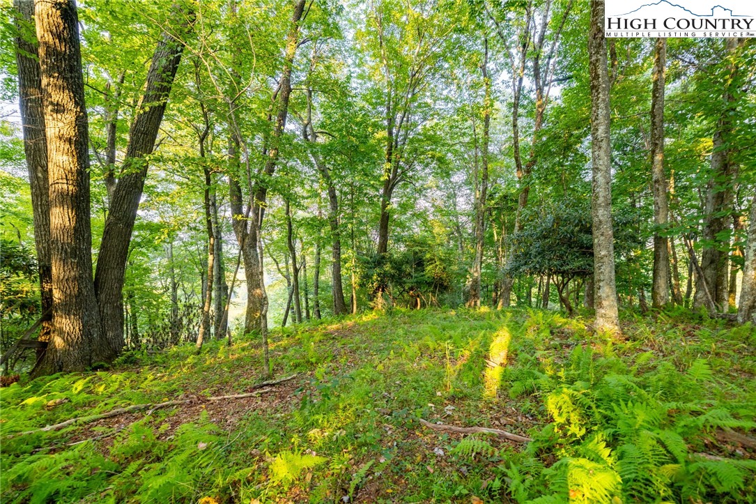 Omega Way Sparta, NC 28675 - Photo 17 of 48