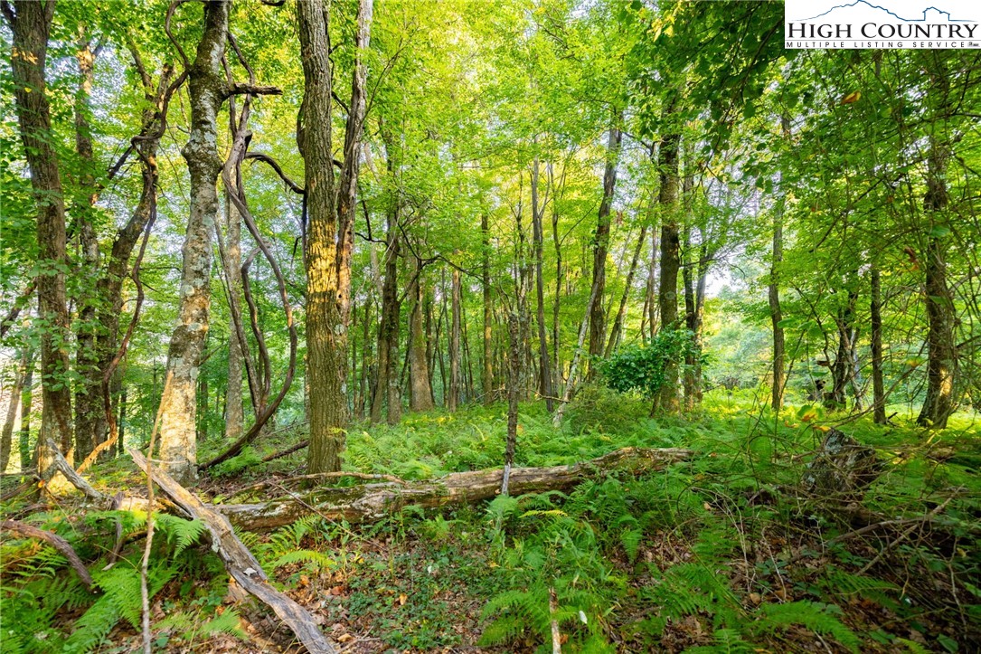 Omega Way Sparta, NC 28675 - Photo 18 of 48