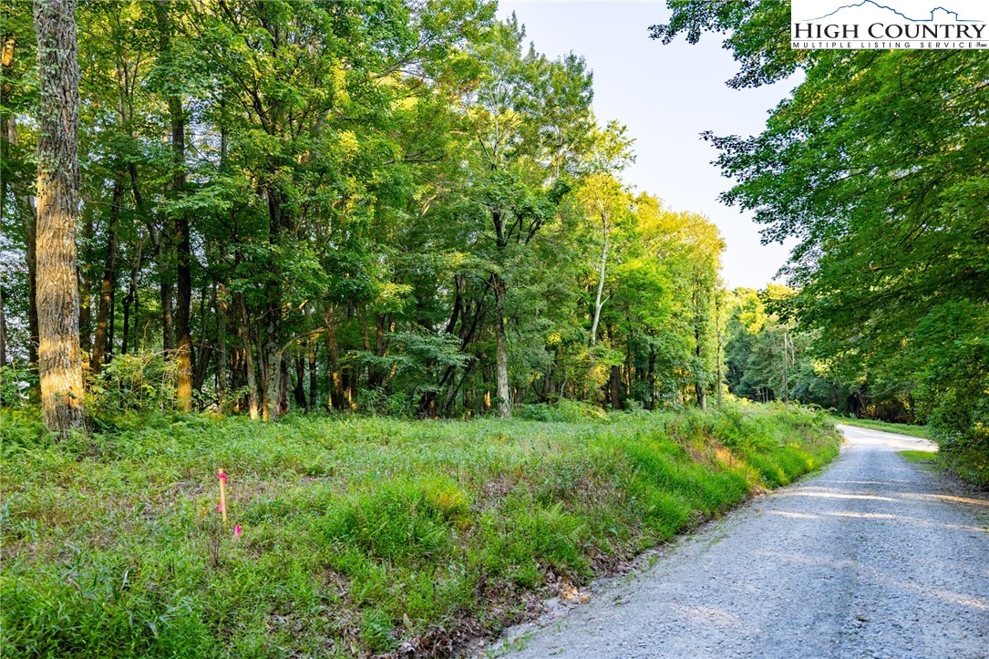 Omega Way Sparta, NC 28675 - Photo 19 of 48