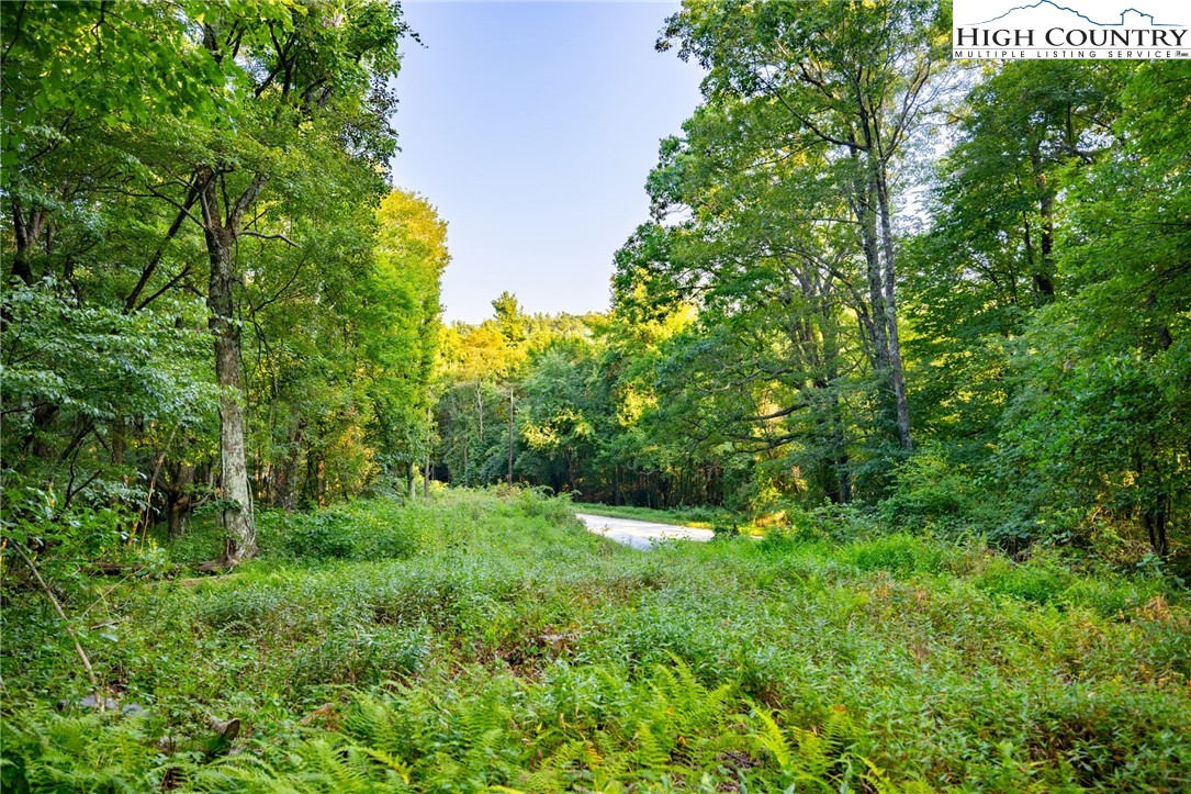 Omega Way Sparta, NC 28675 - Photo 21 of 48