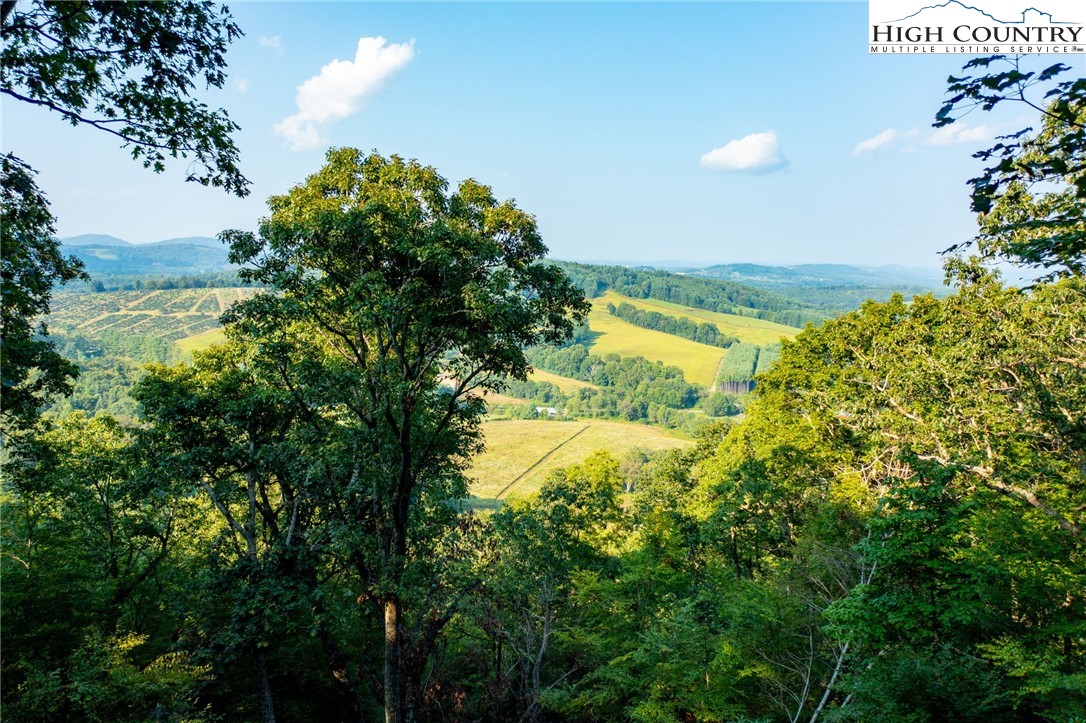 Omega Way Sparta, NC 28675 - Photo 22 of 48