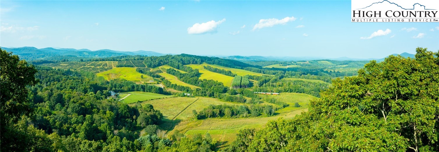 Omega Way Sparta, NC 28675 - Photo 23 of 48