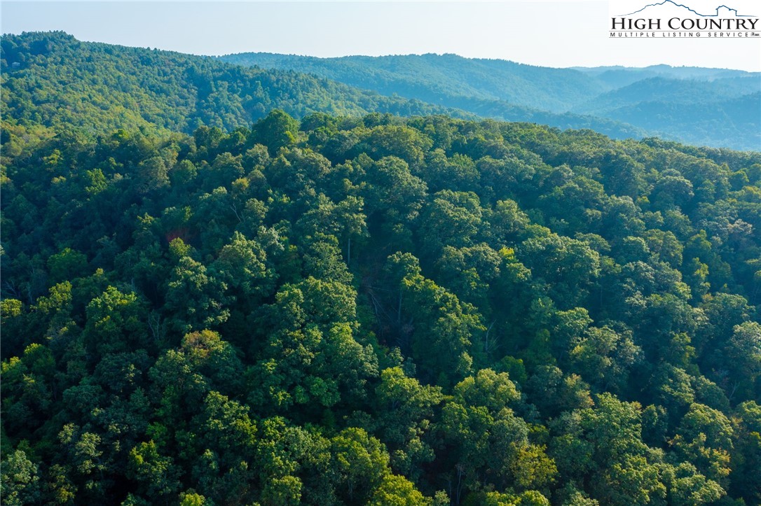 Omega Way Sparta, NC 28675 - Photo 24 of 48