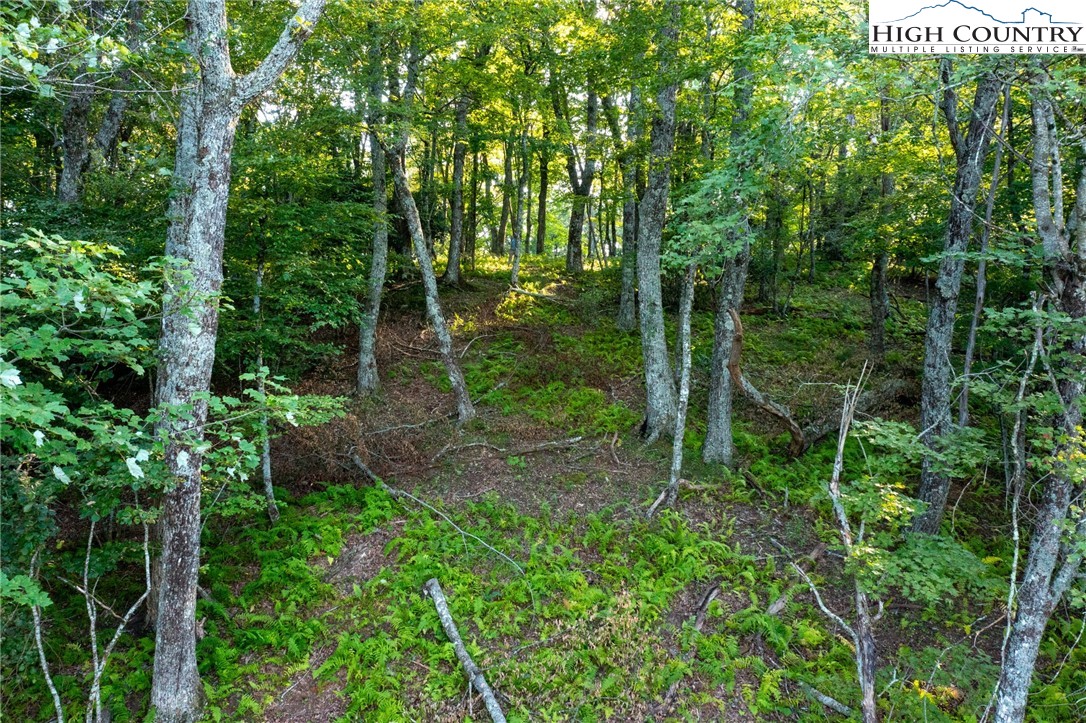 Omega Way Sparta, NC 28675 - Photo 25 of 48