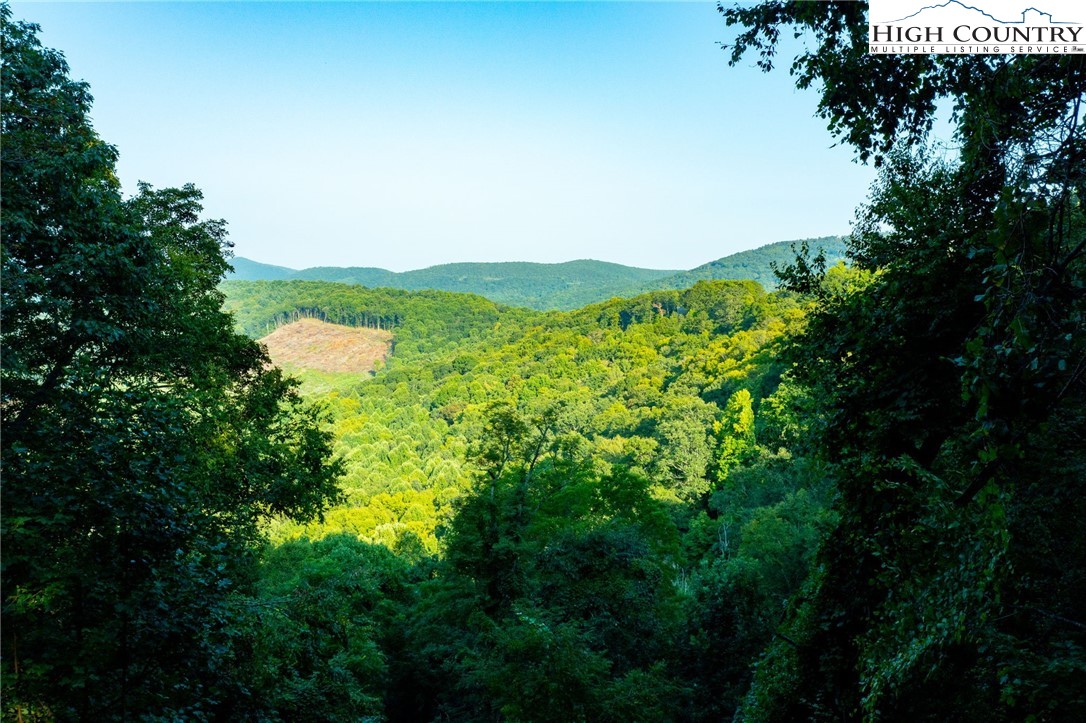 Omega Way Sparta, NC 28675 - Photo 26 of 48