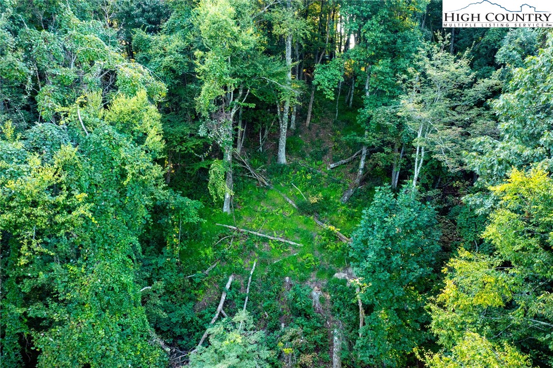 Omega Way Sparta, NC 28675 - Photo 27 of 48