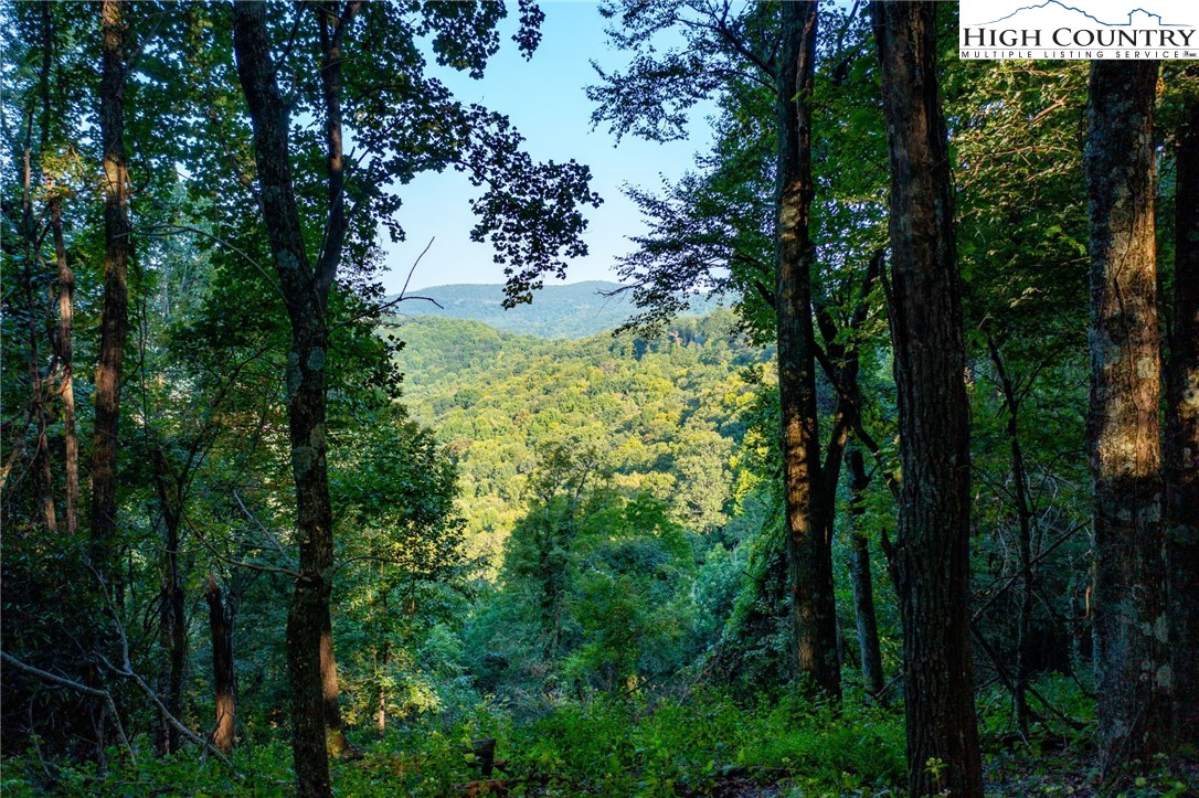 Omega Way Sparta, NC 28675 - Photo 28 of 48