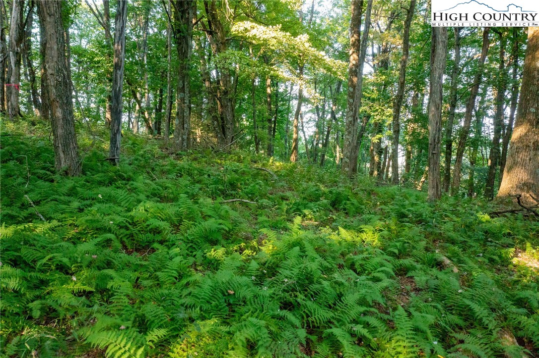 Omega Way Sparta, NC 28675 - Photo 30 of 48