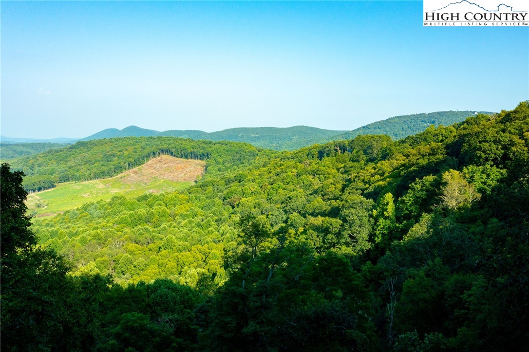 Omega Way Sparta, NC 28675 - Photo 3 of 48