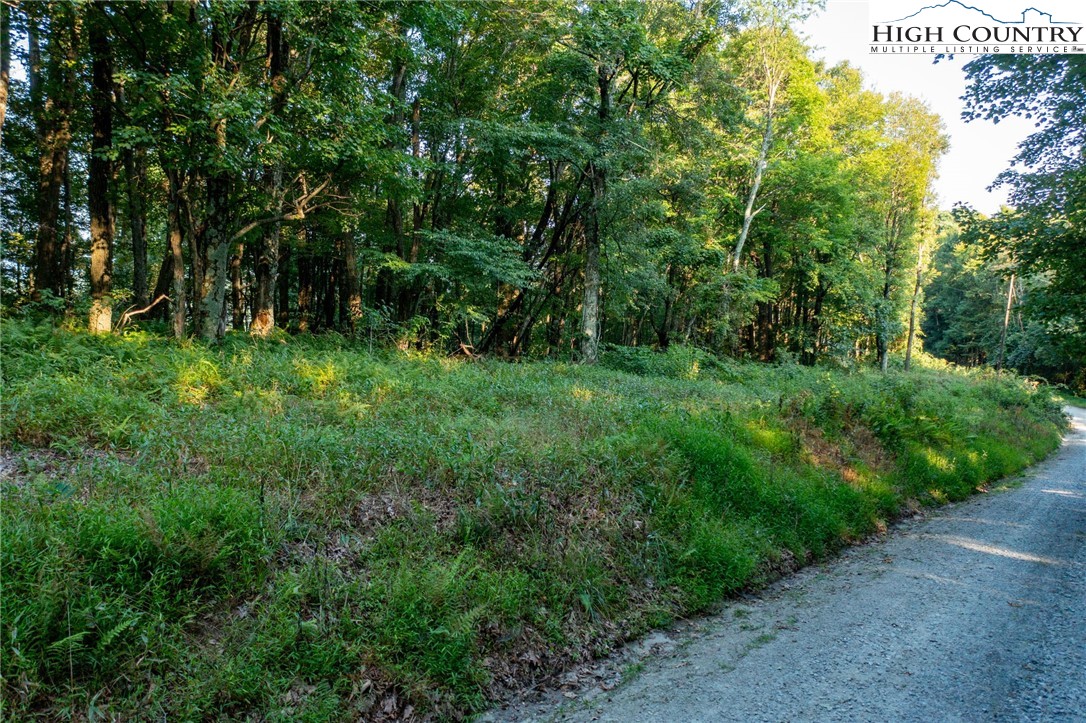 Omega Way Sparta, NC 28675 - Photo 31 of 48