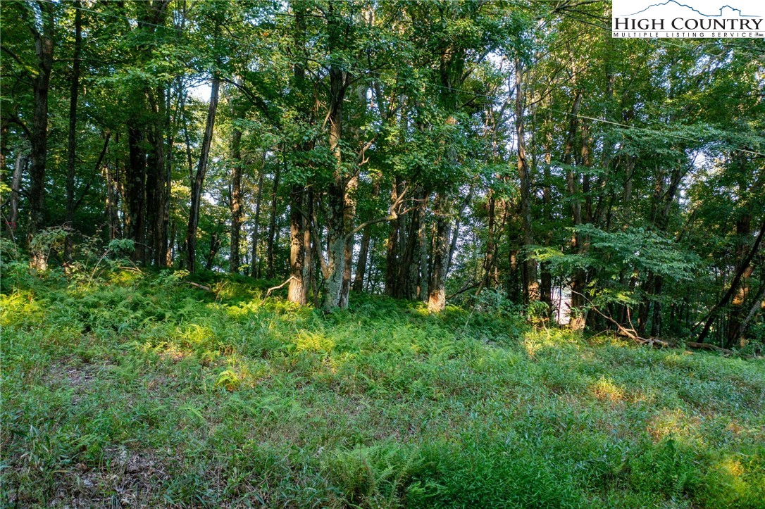 Omega Way Sparta, NC 28675 - Photo 32 of 48