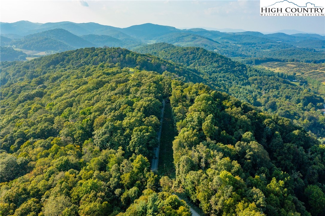 Omega Way Sparta, NC 28675 - Photo 33 of 48