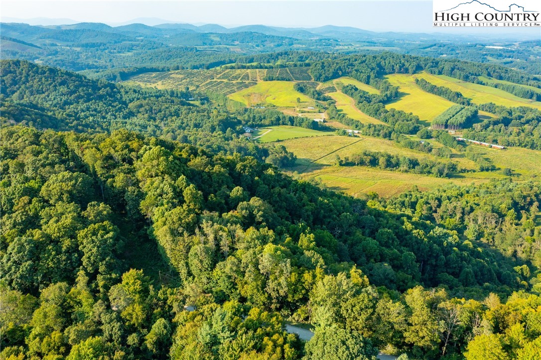 Omega Way Sparta, NC 28675 - Photo 34 of 48