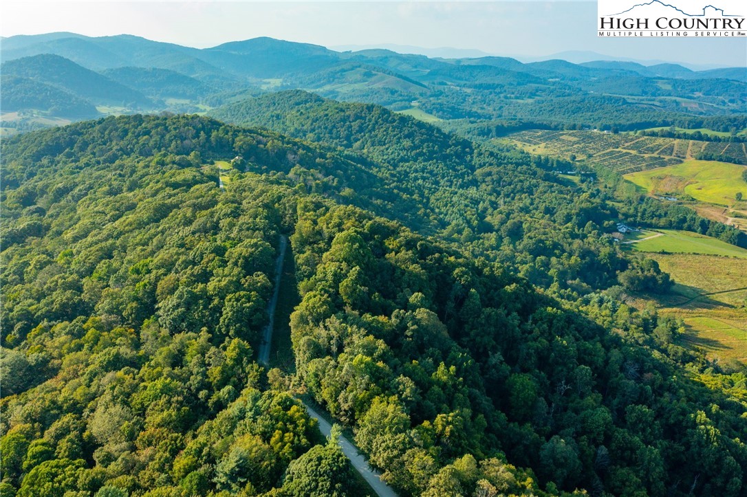 Omega Way Sparta, NC 28675 - Photo 36 of 48