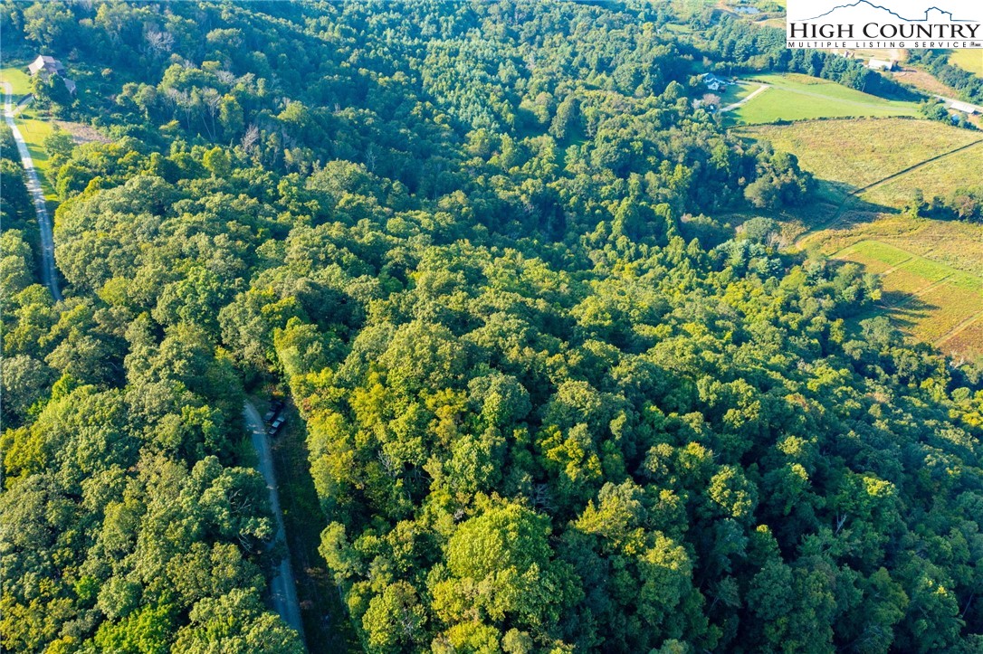 Omega Way Sparta, NC 28675 - Photo 38 of 48