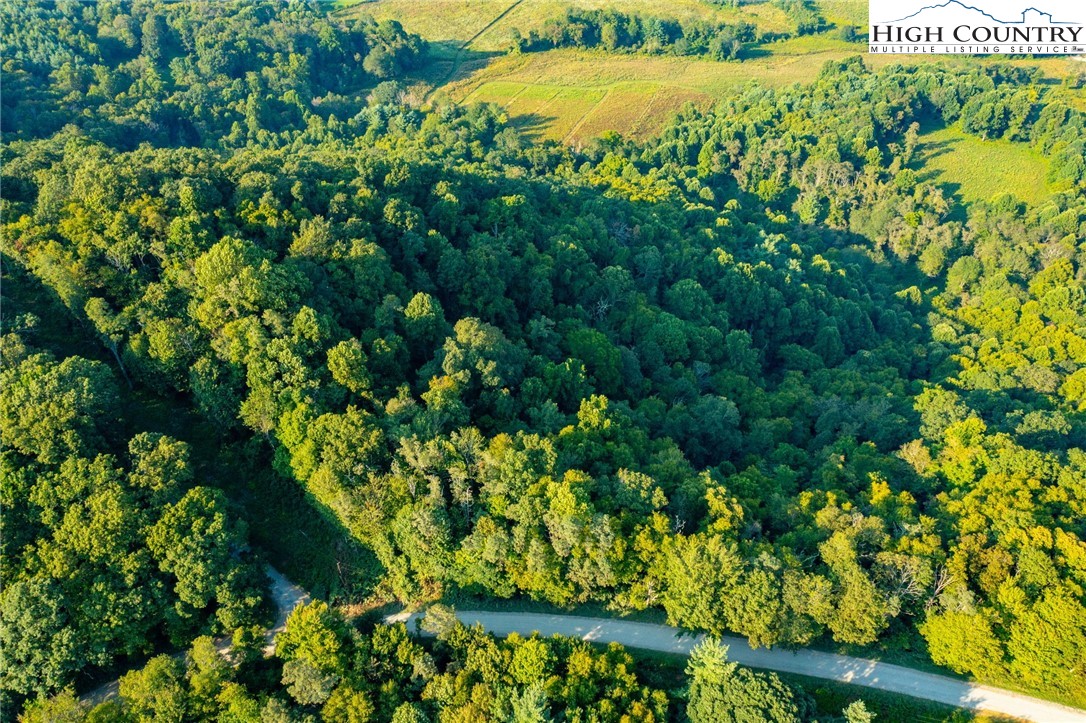 Omega Way Sparta, NC 28675 - Photo 39 of 48